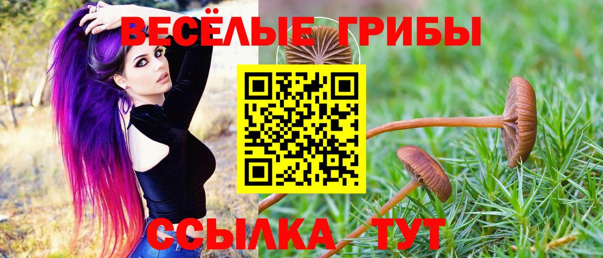 купить закладку  Вход с VPN  Великий Устюг  Галлюциногенные грибы мицелий  Галлюциногенные грибы Psilocybine cubensis 