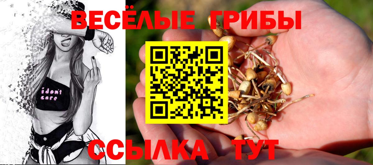Псилоцибиновые грибы мицелий Великий Устюг